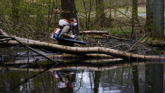 Boj s komármi: Mesto už urobilo vyše 240 zásahov