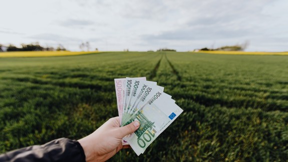 Mladá Bratislavčanka naletela na podvodný inzerát, postupne prišla o 1000 eur