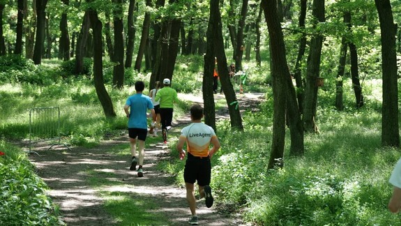 ORUNgutan: Bežci opäť podporia pavilón primátov v bratislavskej zoo