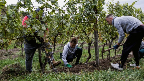 Dobrovoľnícky deň detí odštartuje v BSK 8. ročník Týždňa dobrovoľníctva