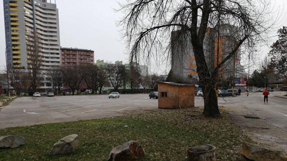 FOTO a VIDEO: Po našom článku sa veci dali do pohybu - stromčeky z Miletičky odpratali!