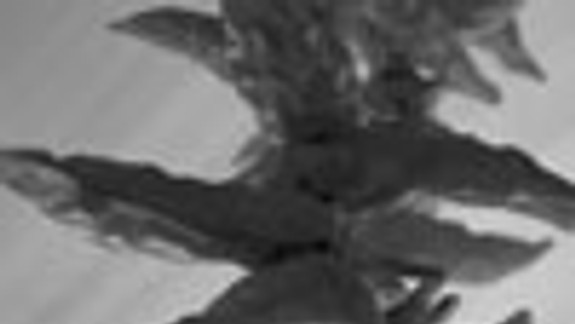 Tatkov poklad sa skrýval vo veľkom pohári