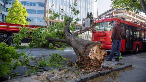 Na Prievozskej spadol na trolejbus strom