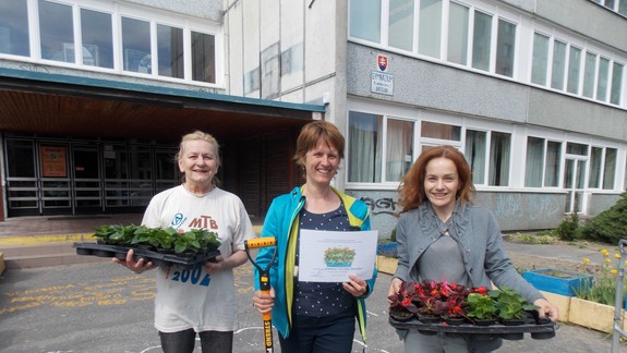 V opustených karloveských kvetináčoch opäť rozkvitnú kvety