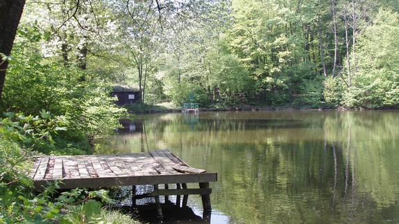 FOTO: Mali by sa nebezpečné staré rybárske móla na Železnej studničke opraviť alebo odstrániť?