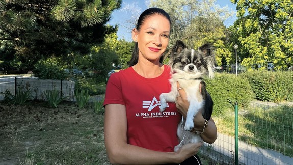 Najkrajšia čivava roka 2020 žije v Petržalke, volá sa Majky a aj doma sa správa ako šampión...