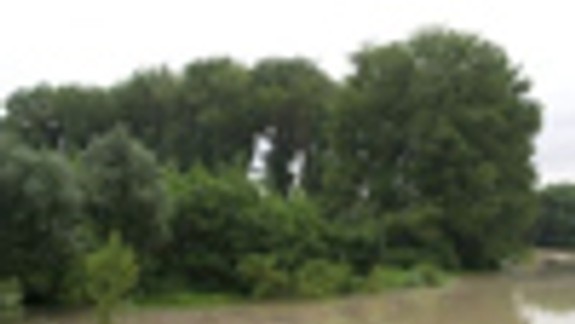 Zámena pozemkov je vraj pre Lesy SR výhodná