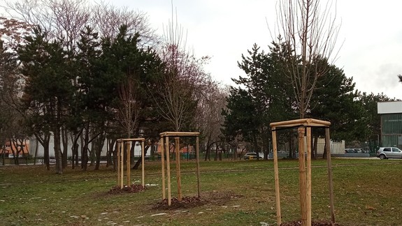 V Petržalke vysadila stromy nielen mestská časť, ale aj magistrát, školy, firmy či jednotlivci