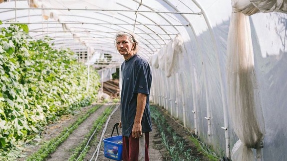 Správa, ktorá poteší: Už teraz si môžete objednať zeleninu od pestovateľov, privezú vám ju rovno domov