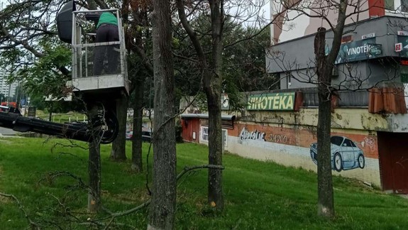 Stromčekov s oranžovou značkou sa v Petržalke nedotýkajte. Sú ich stovky, napúšťajú ich herbicídom