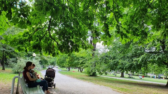 FOTO a VIDEO: Medická záhrada: Tento skvost v srdci Bratislavy objavili už aj turisti!