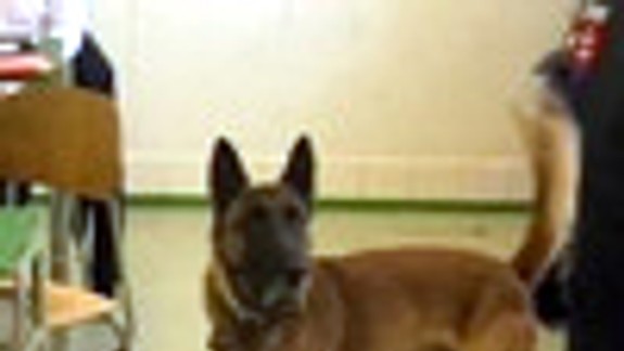 Policajti na jednej strednej škole hľadali drogy