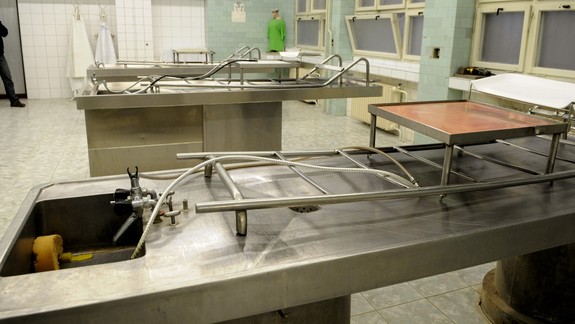 ÚVZ eviduje za minulý a tento rok doposiaľ 24 úmrtí na legionelózu