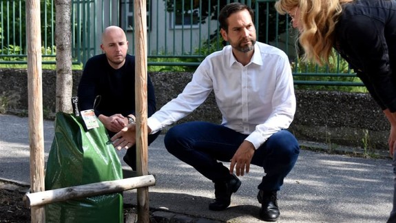 Aj Nové Mesto skúša pri starostlivosti o stromy zavlažovacie vaky