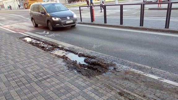 FOTO: Takto katastrofálne dopadla zeleň na Štúrovej
