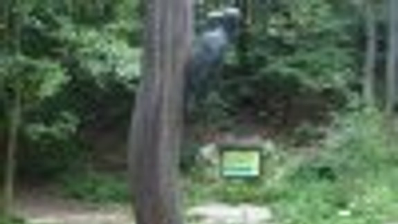 Rusovce majú svoj vlastný Náučný chodník