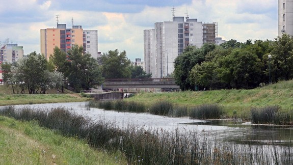 Pozdĺž brehov Chorvátskeho ramena vykosili tŕstie