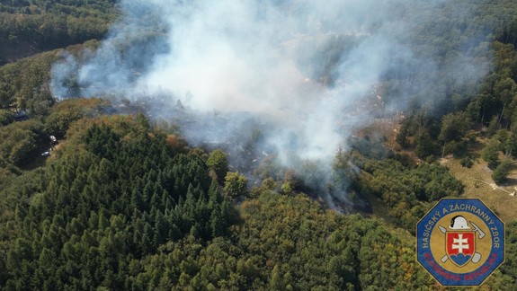 Požiar v Borinke: Oheň zachvátil les, do boja s plameňmi vyrazilo 30 hasičov
