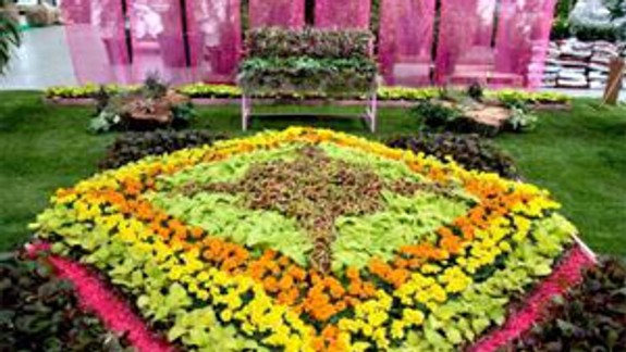 Do nedele bude medzinárodný veľtrh kvetín Flóra Bratislava