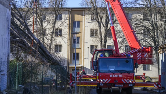 Výčiny počasia: V Bratislave spôsobil vietor viaceré škody, doplatili naň najmä autá