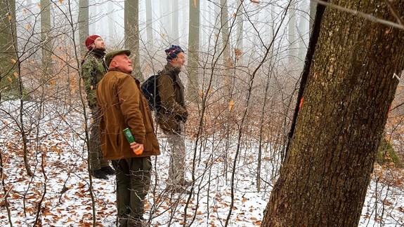 Mestské lesy za minulý rok vyťažili historicky najmenej dreva