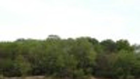 Hrozí, že jazero v Rusovciach investor ohradí