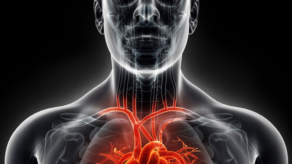 RADÍME: Opúchajú vám končatiny a pociťujete únavu? Môže ísť o chronické srdcové zlyhávanie