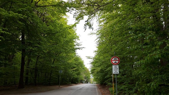 Mesto zaslalo Lesom SR návrh na posilnenie rekreačnej funkcie lesov