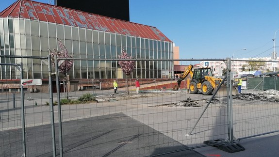 Magistrát by chcel oba čerešňové stromy pred Tržnicou na Trnavskom mýte zachrániť...