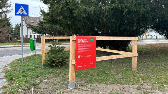 OLO začína v stredu so zvozom vianočných stromčekov z ohrádok