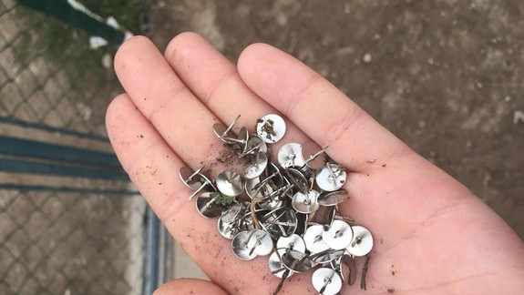 Šokovaní psičkári: Niekto sa snaží ublížiť ich miláčikom