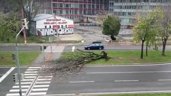 VIDEO: Prvé následky výčinov počasia, na Trnavskej spadol strom na priechod pre chodcov