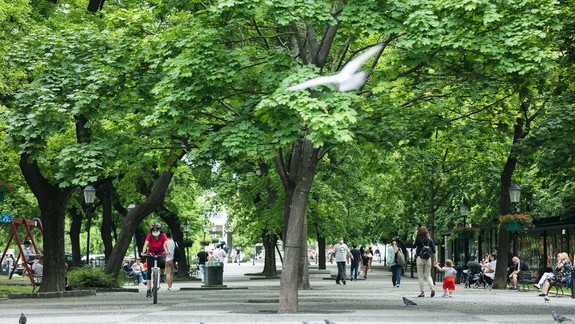 Hviezdoslavovo námestie bude krajšie. Pribudnú kríky, trvalky a aj trávy