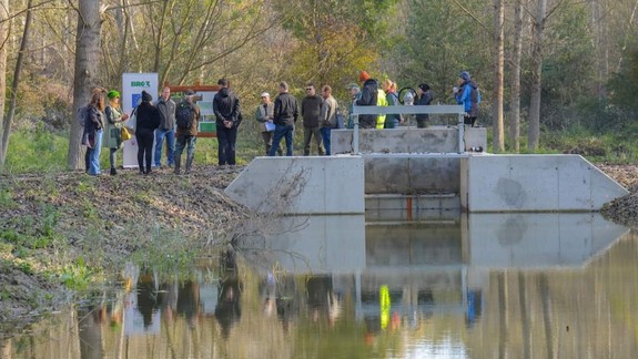 Ochranári dokončili obnovu riečneho ramena v delte Dunaja v oblasti Kráľovskej lúky