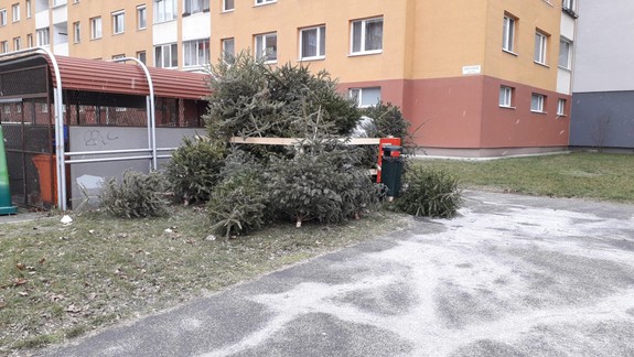 Z drevených ohrádok odviezlo OLO vyše 22 000 vianočných stromčekov