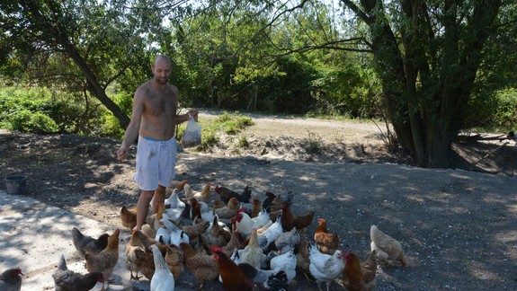 FOTO a VIDEO: Unikátna farma v Rači funguje už šiesty rok. Kam však zmizli niektoré zvieratá?