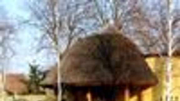 Čunovská čárda pečie mrazené ryby