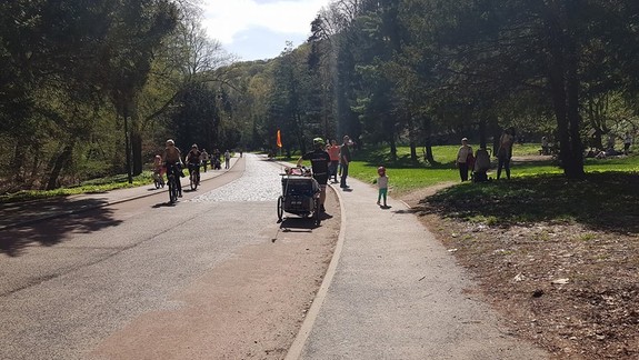 VIDEO: Cez Železnú studničku migrujú malé žabky – buďte voči nim ohľaduplní!
