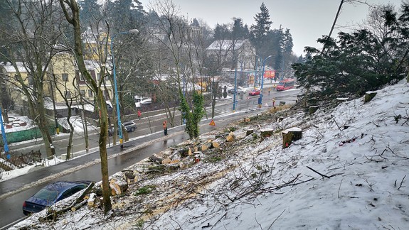 Vallo: Výrub stromov na Drotárskej poukazuje aj na pretrvávajúce bremená z dávnejšej minulosti