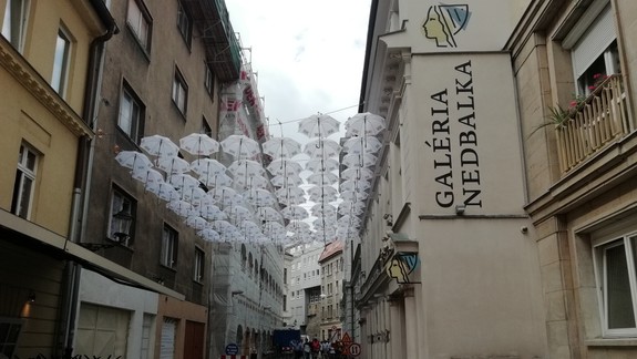 FOTO: Z Nedbalovej už je ulica dáždnikov. Príďte prekonať rekord