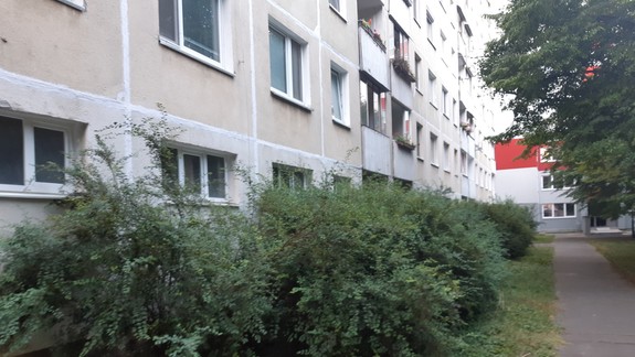 Vaše názory: Nekonečný príbeh jedného orezu