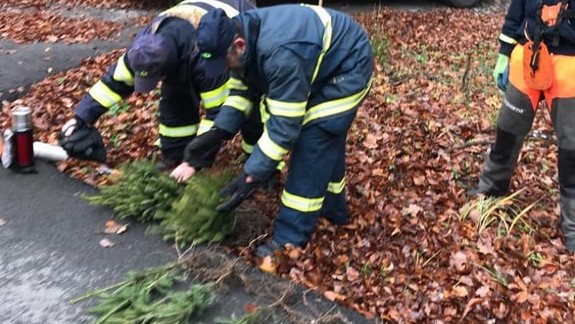 Dobrovoľní hasiči vysadili nad Račou vyše 100 stromčekov
