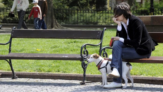 Špecialisti varujú! Veľkonočné dobroty môžu byť pre domácich miláčikov nebezpečné