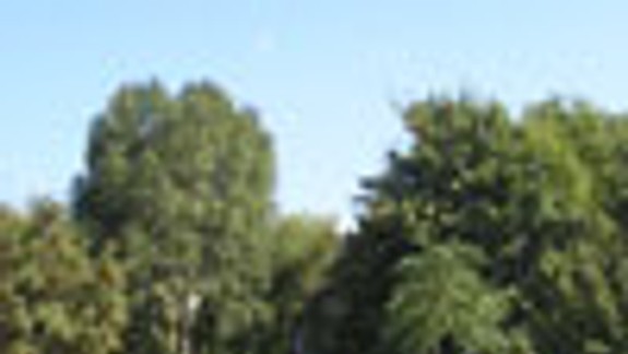 V stredu sa začne obnova Vlasteneckého námestia