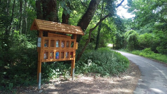 Ako dlho sa rozkladá plechovka či žuvačka? V Rusovciach sa to dozviete