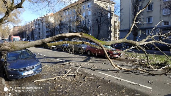 FOTO: Na Košickej ulici spadol strom krížom cez cestu!