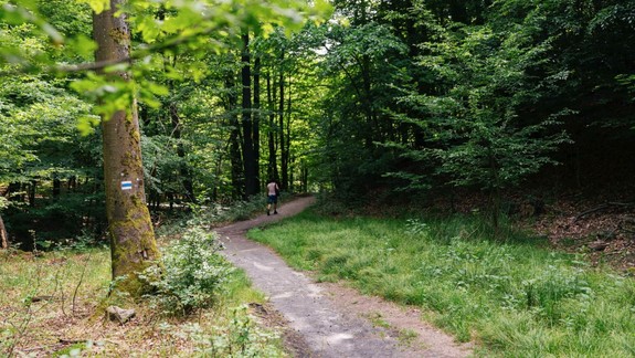 Na obľúbenej turistickej trase z Rače na Biely kríž vás potešia nové mostíky aj lavičky