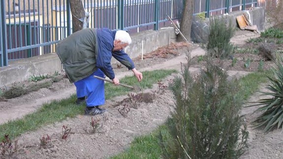 Komunitné záhrady pomaly pribúdajú