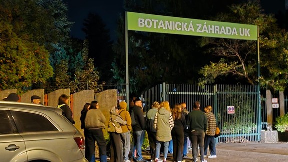Ošiaľ v Botanickej záhrade: Kvitnúci zmijovec prilákal davy ľudí, rad sa tiahol až k električkovej trati