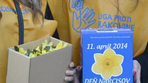 Výnos Dňa narcisov za Bratislavu je okolo 175-tisíc eur